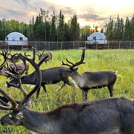 Vila Pleasant Acres Reindeer Ranch Pleasant Valley Exteriér fotografie