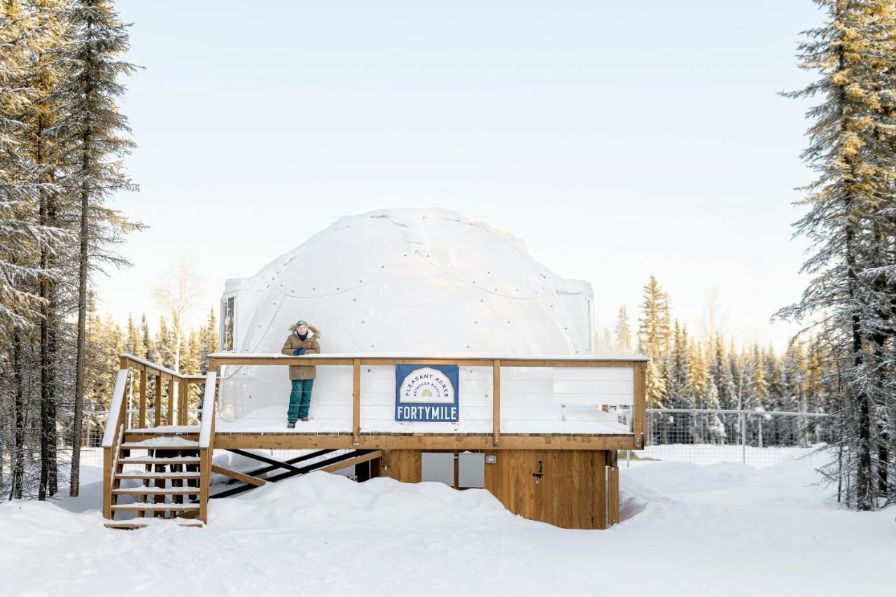 Vila Pleasant Acres Reindeer Ranch Pleasant Valley Exteriér fotografie